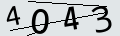 verifycode